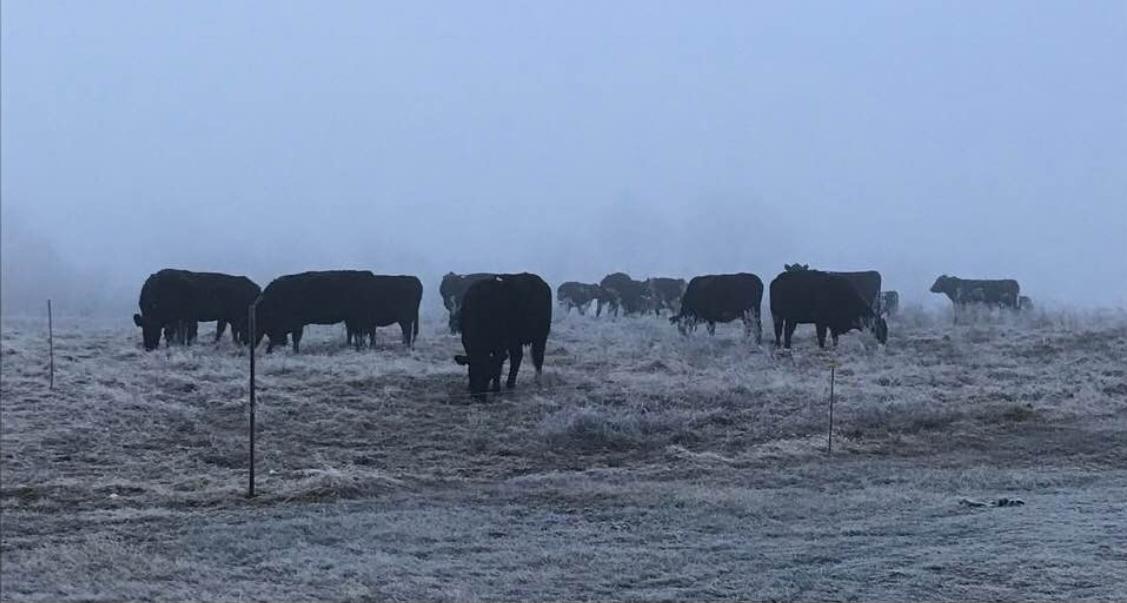 River Valley MFA Agri Services